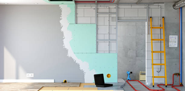 Mold Odor Removal Services in Camas, WA