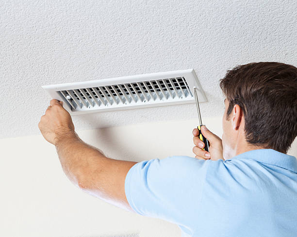 Camas, WA Mold Removal Company