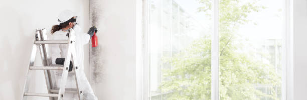 Best Asbestos and Lead Testing During Mold Inspection  in Camas, WA