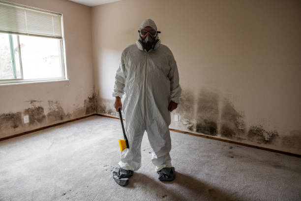 Asbestos and Lead Testing During Mold Inspection in Camas, WA